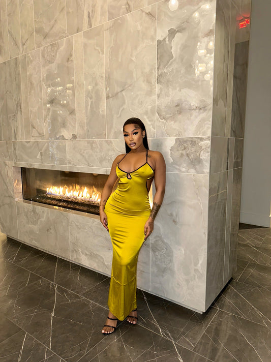 Leslie Silk Dress
